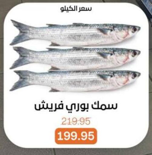 available at Beit El Gomla in Egypt - Cairo