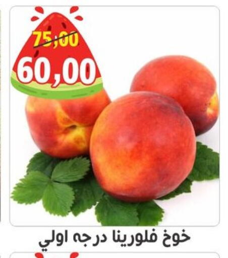 available at أولاد حسان in Egypt - القاهرة