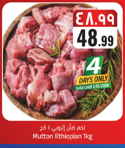 available at ستي فلاور in مملكة العربية السعودية, السعودية, سعودية - حائل‎