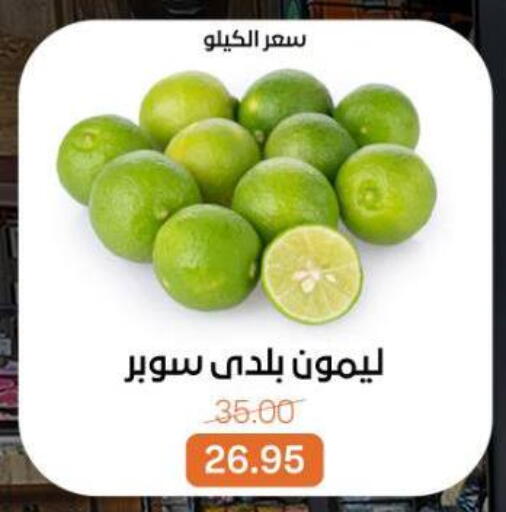 available at بيت الجملة in Egypt - القاهرة