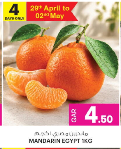 Mandarin from Egypt available at أنصار جاليري in قطر - الشمال