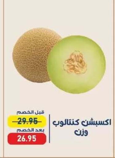 available at Exception Market in Egypt - Cairo