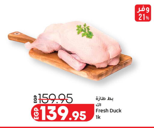 available at لولو هايبرماركت in Egypt - القاهرة