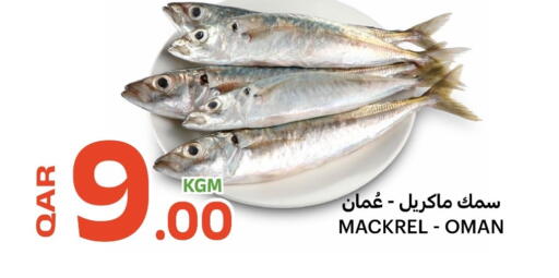 available at البلدي اليوم in قطر - الدوحة