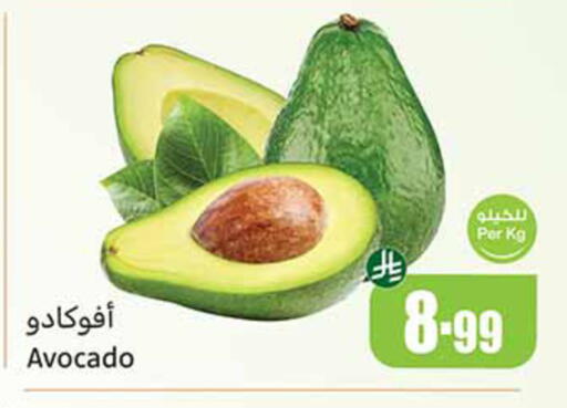 Avocado available at أسواق عبد الله العثيم in مملكة العربية السعودية, السعودية, سعودية - خميس مشيط