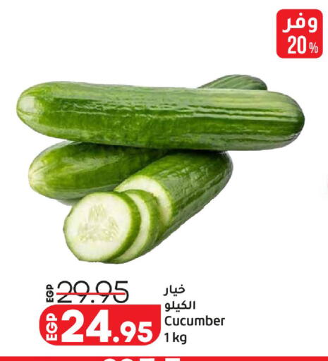 Cucumber available at Lulu Hypermarket  in Egypt - Cairo