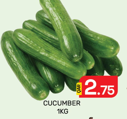Cucumber available at Majlis Hypermarket in Qatar - Al Rayyan