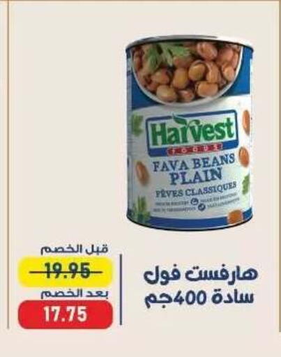 available at اكسبشن ماركت in Egypt - القاهرة