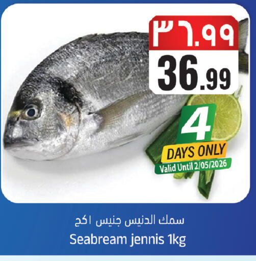 available at City Flower in KSA, Saudi Arabia, Saudi - Sakaka