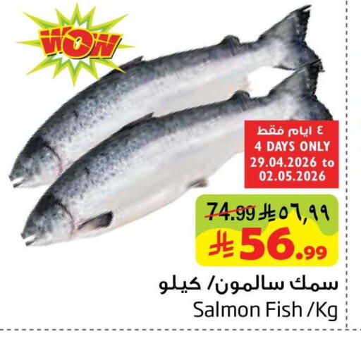 available at Layan Hyper in KSA, Saudi Arabia, Saudi - Al Khobar