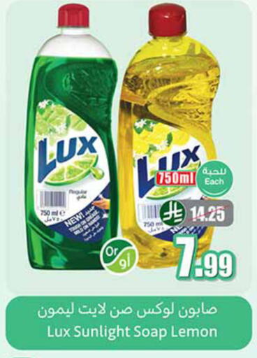 Lemon available at Othaim Markets in KSA, Saudi Arabia, Saudi - Khamis Mushait