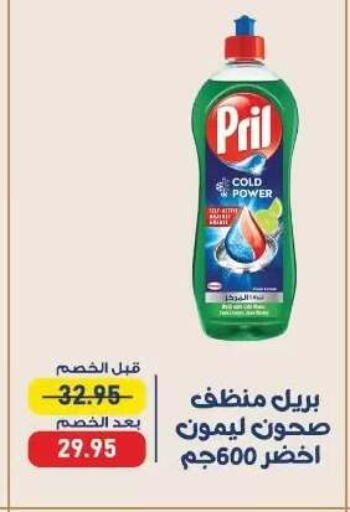 available at اكسبشن ماركت in Egypt - القاهرة