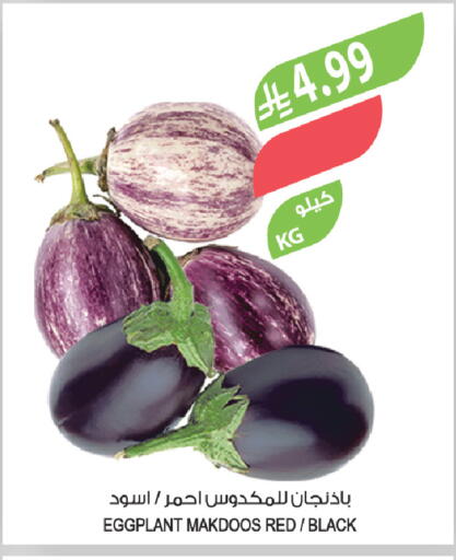 Eggplant available at المزرعة in مملكة العربية السعودية, السعودية, سعودية - حفر الباطن