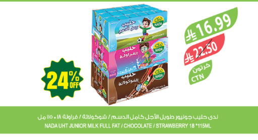 Strawberry available at المزرعة in مملكة العربية السعودية, السعودية, سعودية - حفر الباطن