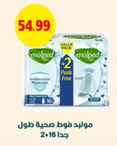 available at يورومارشيه in Egypt - القاهرة