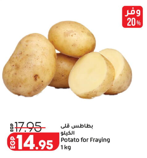Potato available at Lulu Hypermarket  in Egypt - Cairo