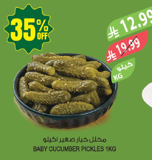 Cucumber available at المزرعة in مملكة العربية السعودية, السعودية, سعودية - سيهات