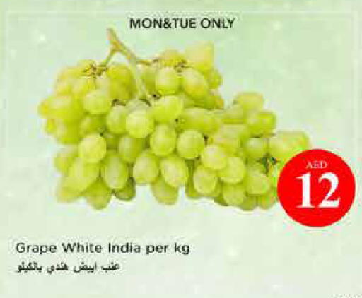 from India available at Last Chance  in UAE - Fujairah