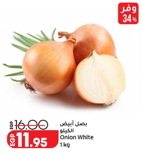Onion available at Lulu Hypermarket  in Egypt - Cairo
