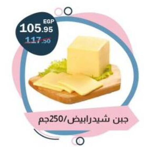 available at فتح الله in Egypt - القاهرة