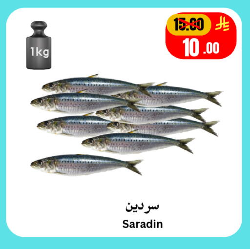 available at Economic World in KSA, Saudi Arabia, Saudi - Jeddah