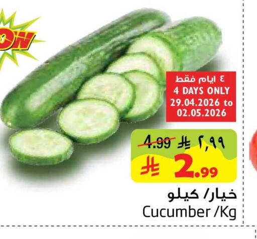 Cucumber available at Layan Hyper in KSA, Saudi Arabia, Saudi - Al Khobar
