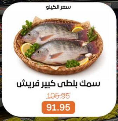 available at Beit El Gomla in Egypt - Cairo