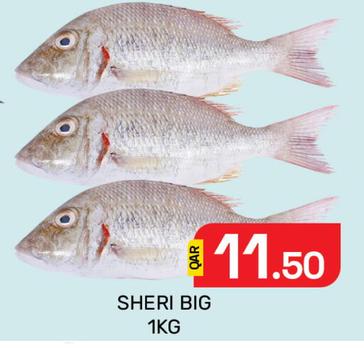 available at Majlis Hypermarket in Qatar - Al Rayyan