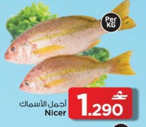 available at مارك & سايف in عُمان - مسقط‎