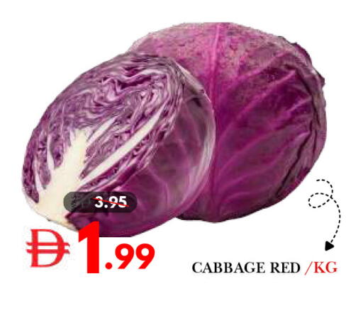 Cabbage available at DESERT FRESH MARKET  in UAE - Abu Dhabi
