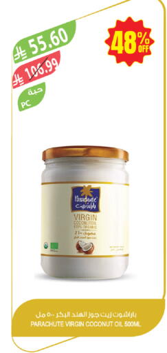 Coconut available at المزرعة in مملكة العربية السعودية, السعودية, سعودية - حفر الباطن