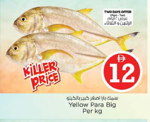 available at نستو هايبرماركت in الإمارات العربية المتحدة , الامارات - الشارقة / عجمان