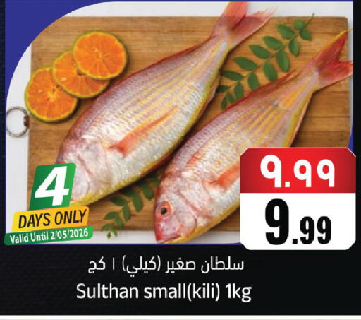 available at ستي فلاور in مملكة العربية السعودية, السعودية, سعودية - نجران