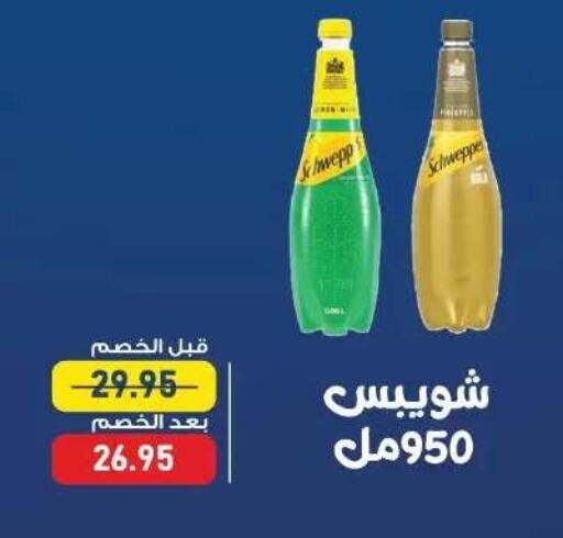 available at اكسبشن ماركت in Egypt - القاهرة