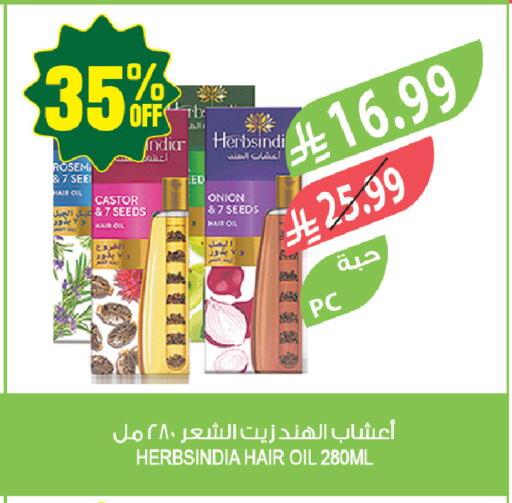 Onion available at المزرعة in مملكة العربية السعودية, السعودية, سعودية - حفر الباطن