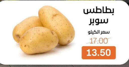 available at Beit El Gomla in Egypt - Cairo