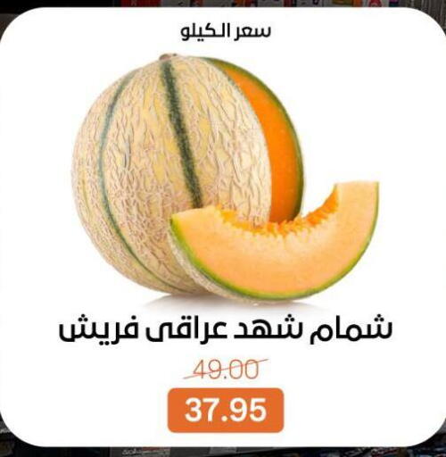 available at بيت الجملة in Egypt - القاهرة