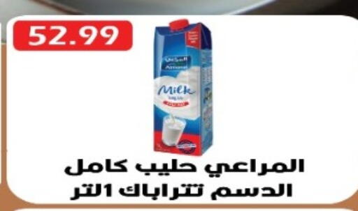 available at يورومارشيه in Egypt - القاهرة