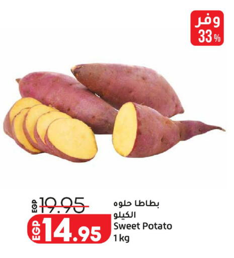 Sweet Potato available at Lulu Hypermarket  in Egypt - Cairo