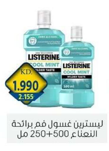 Mint available at جمعية الزهراء التعاونية in الكويت - مدينة الكويت