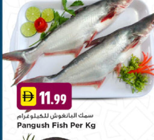 available at نيومارت هايبرماركت in الإمارات العربية المتحدة , الامارات - دبي