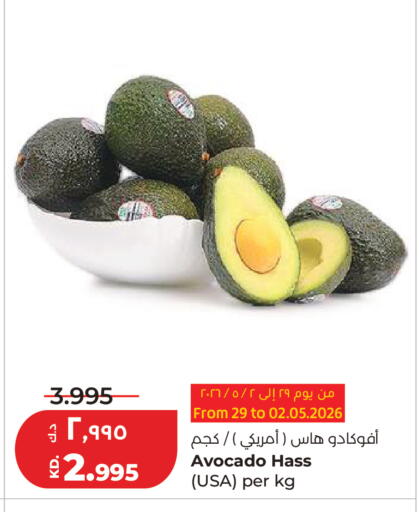 Avocado available at لولو هايبر ماركت in الكويت - مدينة الكويت