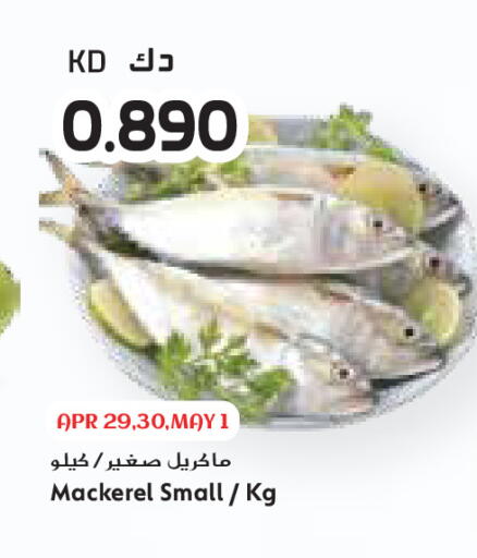 available at جراند كوستو in الكويت - مدينة الكويت