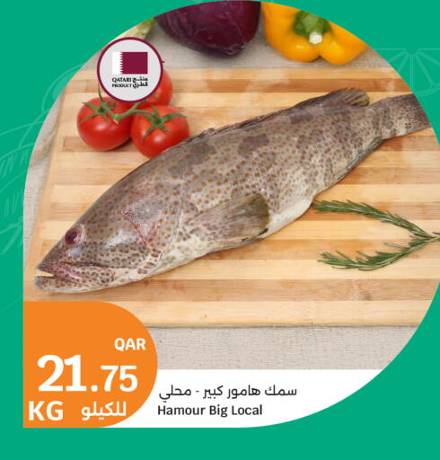 available at City Hypermarket in Qatar - Doha