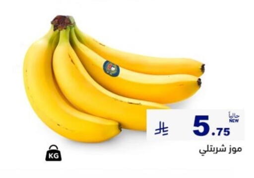 available at أسواق رامز in مملكة العربية السعودية, السعودية, سعودية - المنطقة الشرقية