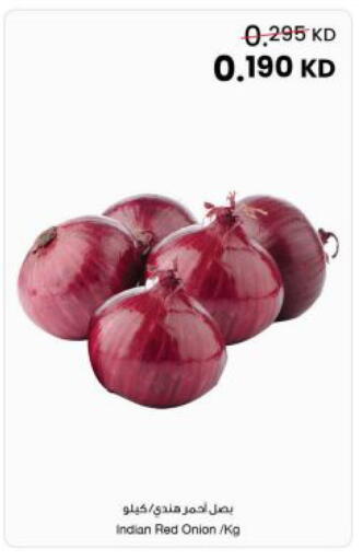 Onion from India available at مركز سلطان in الكويت - مدينة الكويت