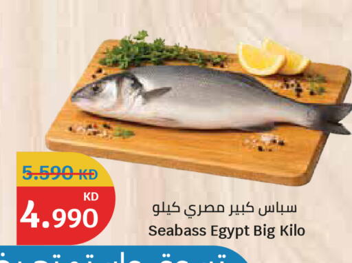 available at سيتي هايبرماركت in الكويت - مدينة الكويت