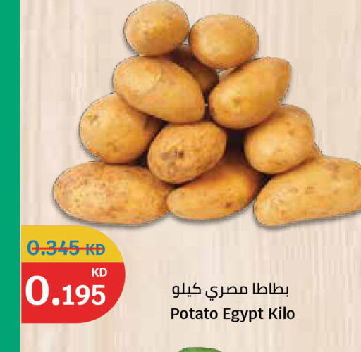 Potato from Egypt available at سيتي هايبرماركت in الكويت - مدينة الكويت