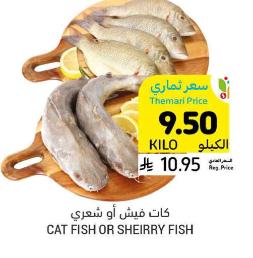 available at Tamimi Market in KSA, Saudi Arabia, Saudi - Ar Rass