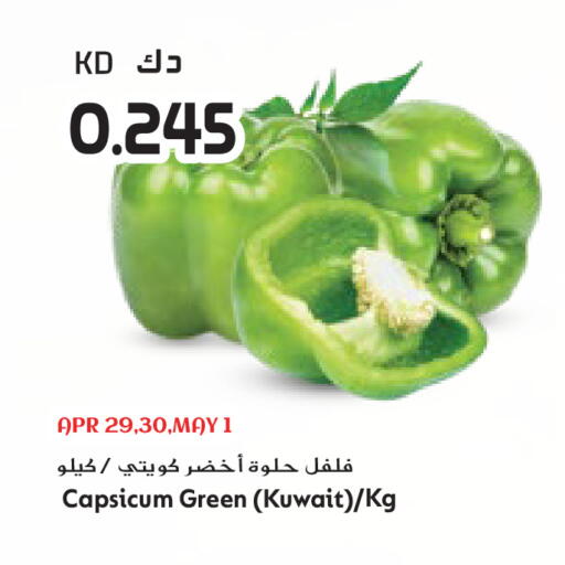 Capsicum from Kuwait available at جراند هايبر in الكويت - مدينة الكويت